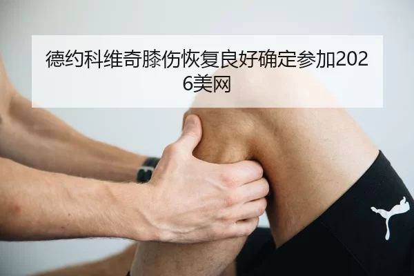 de-yue-ke-wei-qi-xi-shang-hui-fu-liang-hao-que-ding-can-jia-mei-wang-2-270.jpg