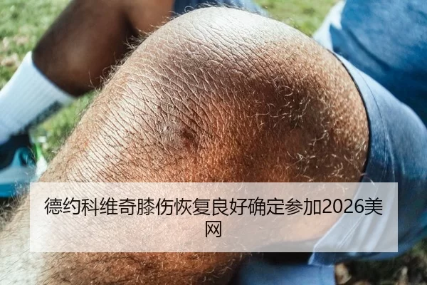 德约科维奇膝伤恢复良好确定参加2026美网