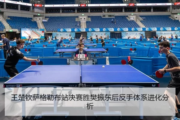 wang-chu-qin-sa-ge-lei-bu-zhan-jue-sai-sheng-fan-zhen-dong-hou-fan-shou-ti-xi-jin-hua-fen-xi-3-540.jpg